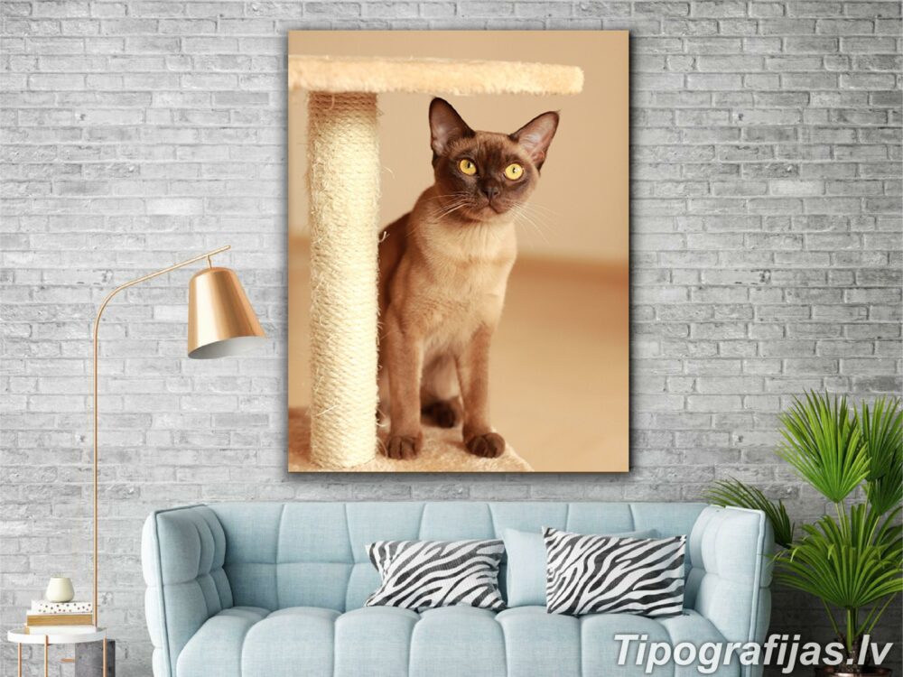 Изготовление и печать канвы с дизайном