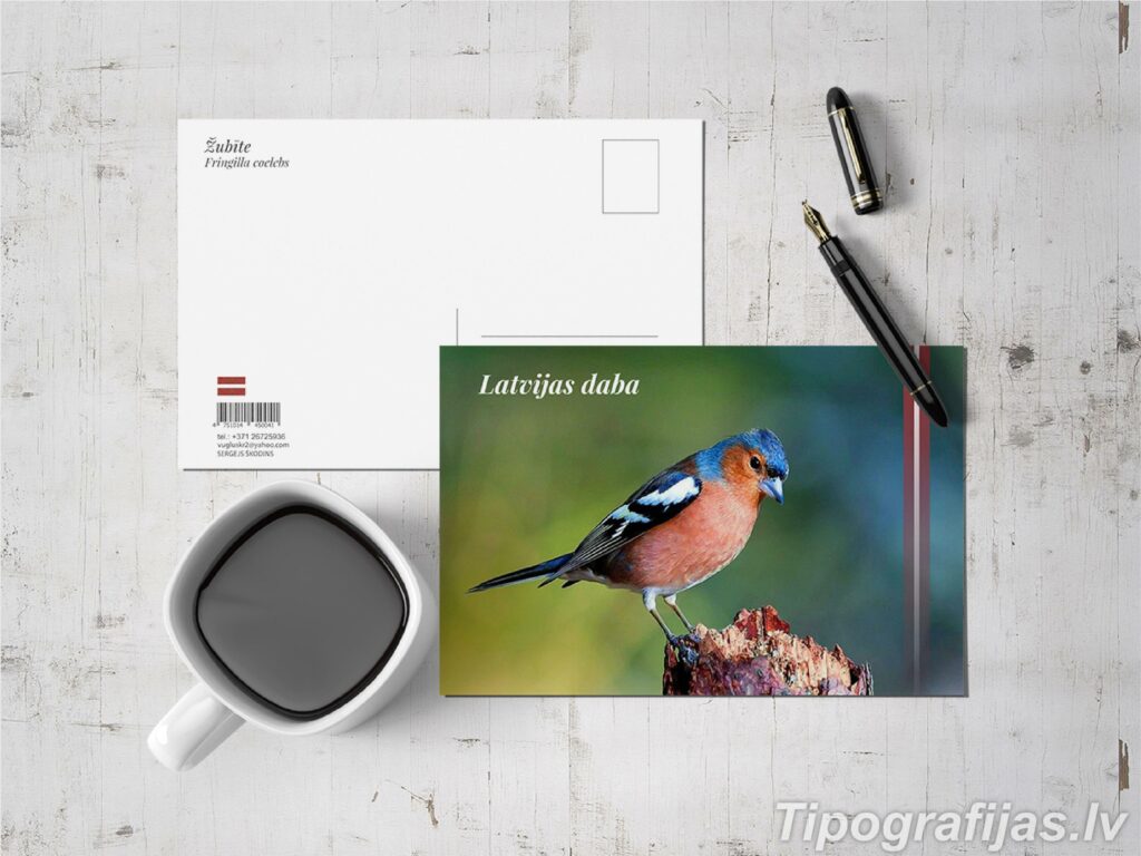 Типография - Изготовление открыток - Печать открыток. Разработка дизайна открыток. Образец открыток.