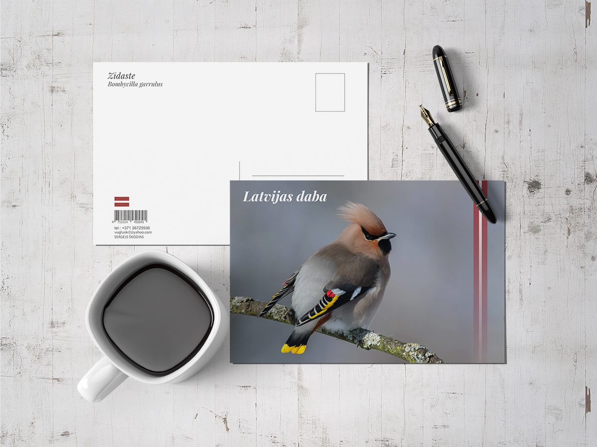 Типография - Изготовление открыток - Печать открыток. Разработка дизайна открыток. Образец открыток.